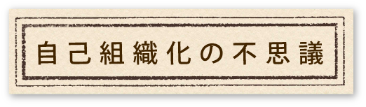 自己組織化の不思議