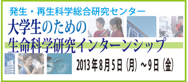 report-top2013