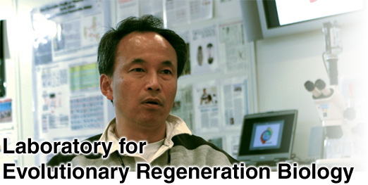 Laboratory for Evolutionary Regeneration Biology