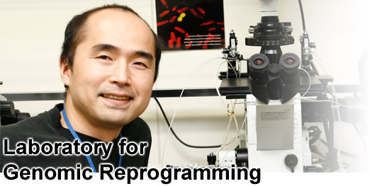 Laboratory for Genomic Reprogramming