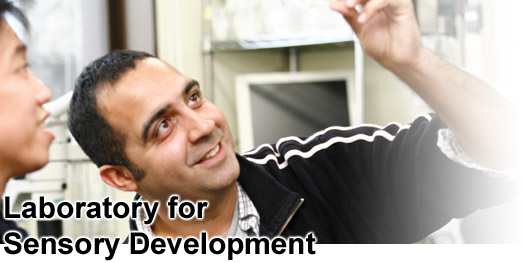Laboratory for Sensory Development