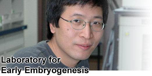 Laboratory for Early Embryogenesis