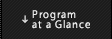 Program at a Glance