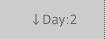 Day:2