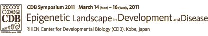 CDB Symposium 2011 March14(Mon)-16(Wed),2011：Epigenetic Landscape in Development and Disease