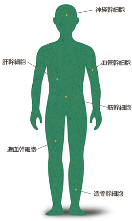 【早漏で悩む男性へ】早漏は治る！早漏の克 