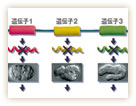 図3