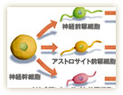 図7