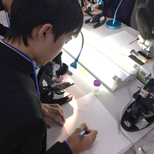 顕微鏡観察する高校生