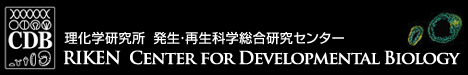 発生・再生科学総合研究センター
