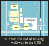 From the end of moving walkway to the CDB