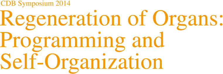 Regeneration of Organs: Programming and Self-Organization
