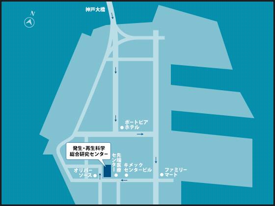 ロードマップ：神戸大橋からCDBまで