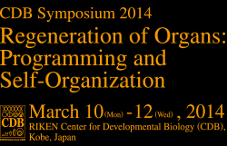 Regeneration of Organs: Programming and Self-Organization: CDB Symposium 2014 March 10 (Mon) - 12 (Wed), 2014