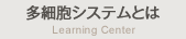 多細胞システムとは