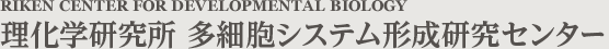 理化学研究所 多細胞システム形成研究センター [RIKEN CENTER FOR DEVELOPMENTAL BIOLOGY]